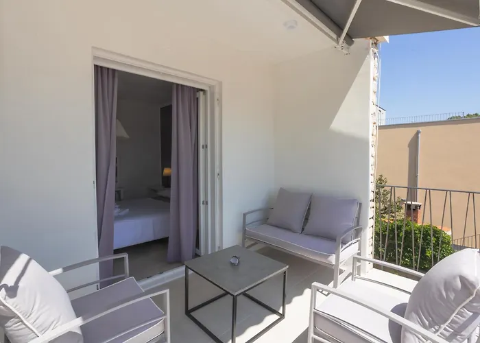 Dalma Lavandella ז'אבוריץ'