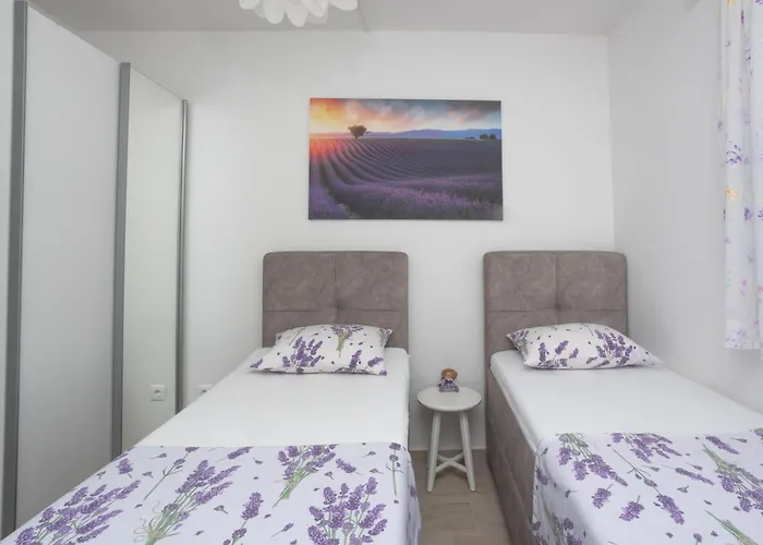 Dalma Lavandella ז'אבוריץ'