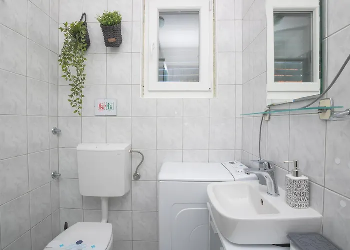 Dalma Lavandella * 扎博里克